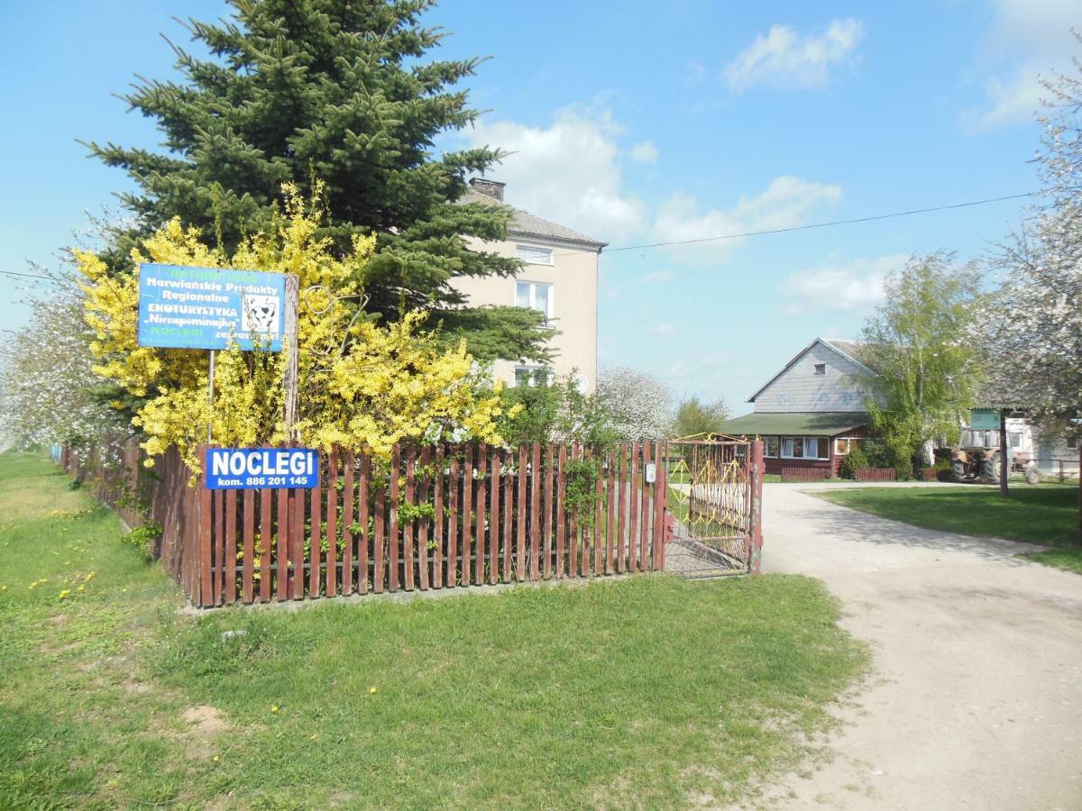 Niezapominajka Villa Jenki Exterior photo